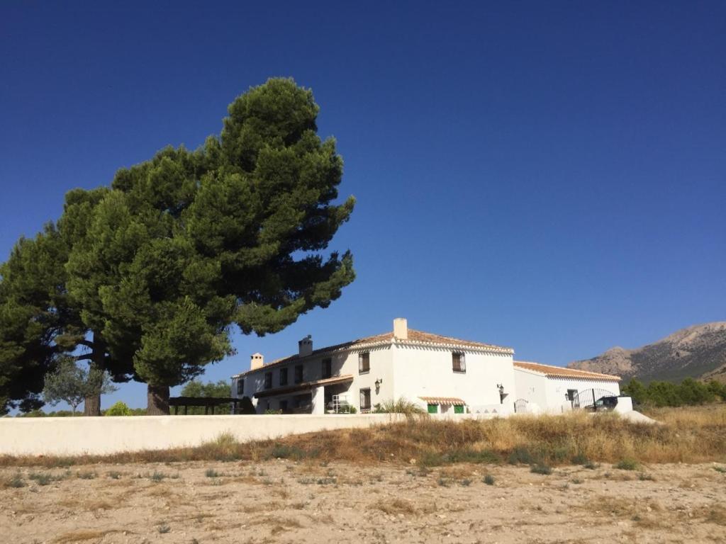 B&B Cortijo El Ciruelo Chirivel Екстериор снимка