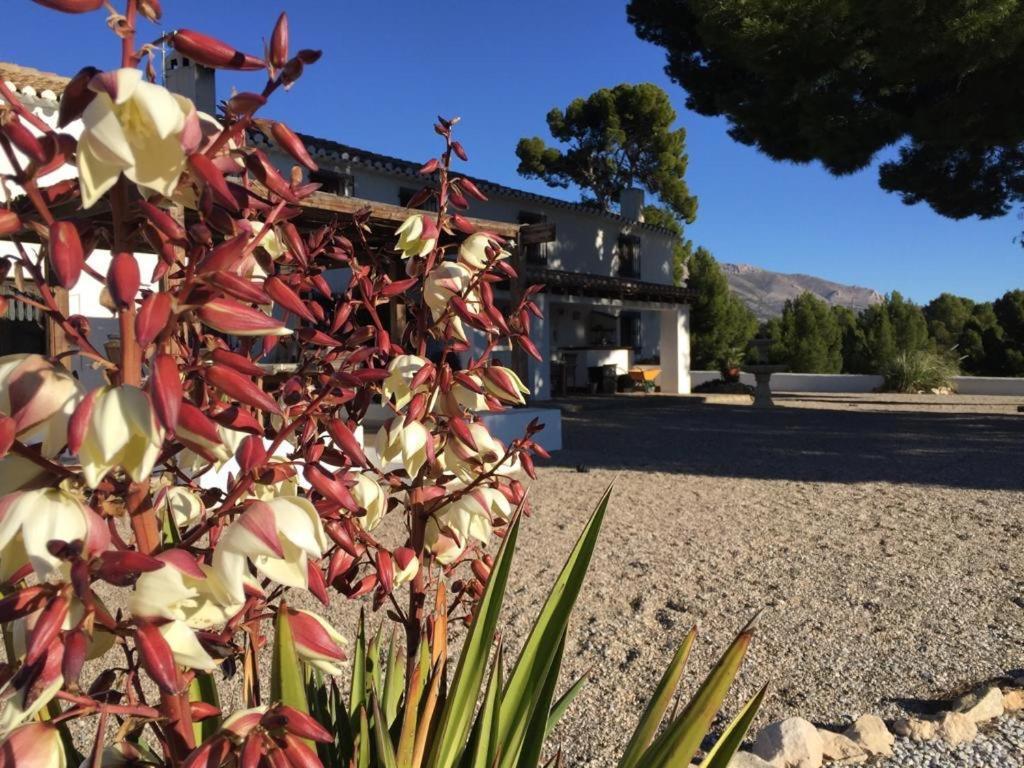 B&B Cortijo El Ciruelo Chirivel Екстериор снимка